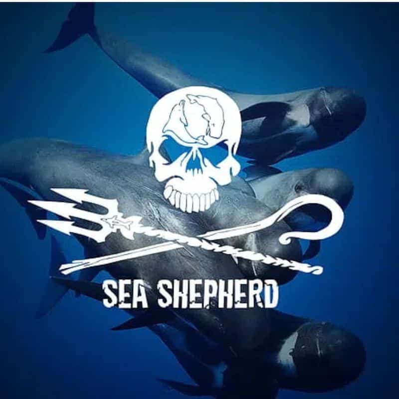 sea shepherd t shirt-kaufen